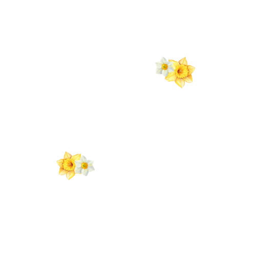 Letters S and R with Daffodil flowers